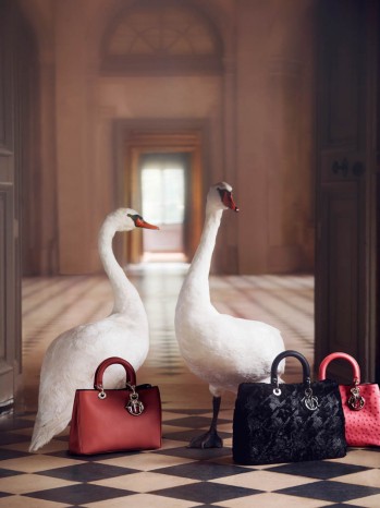 Dior迪奥圣诞系列包款型录_二手奢侈品二手奢侈品货源