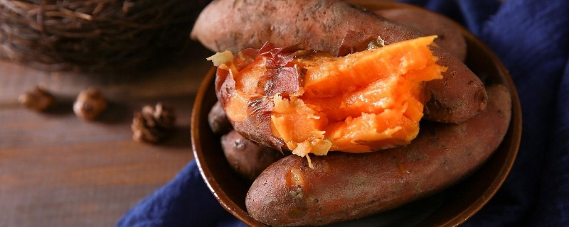 红薯是淀粉类食物吗？