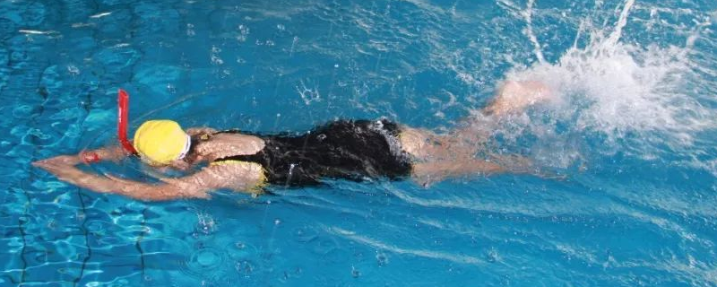 长期游泳的十一大好处？