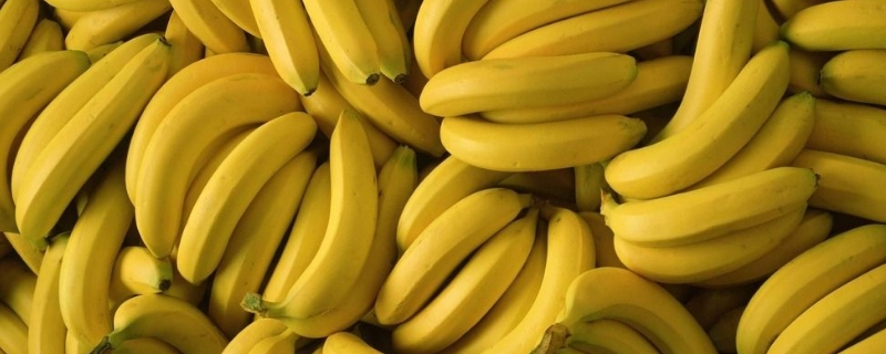 香蕉里面是红色怎么回事？