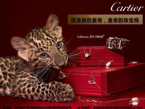 每一款都堪称经典——卡地亚（Cartier ）