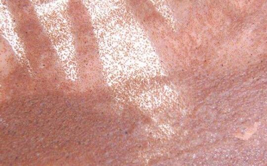 海藻面膜适合什么皮肤 海藻面膜适合什么肤质