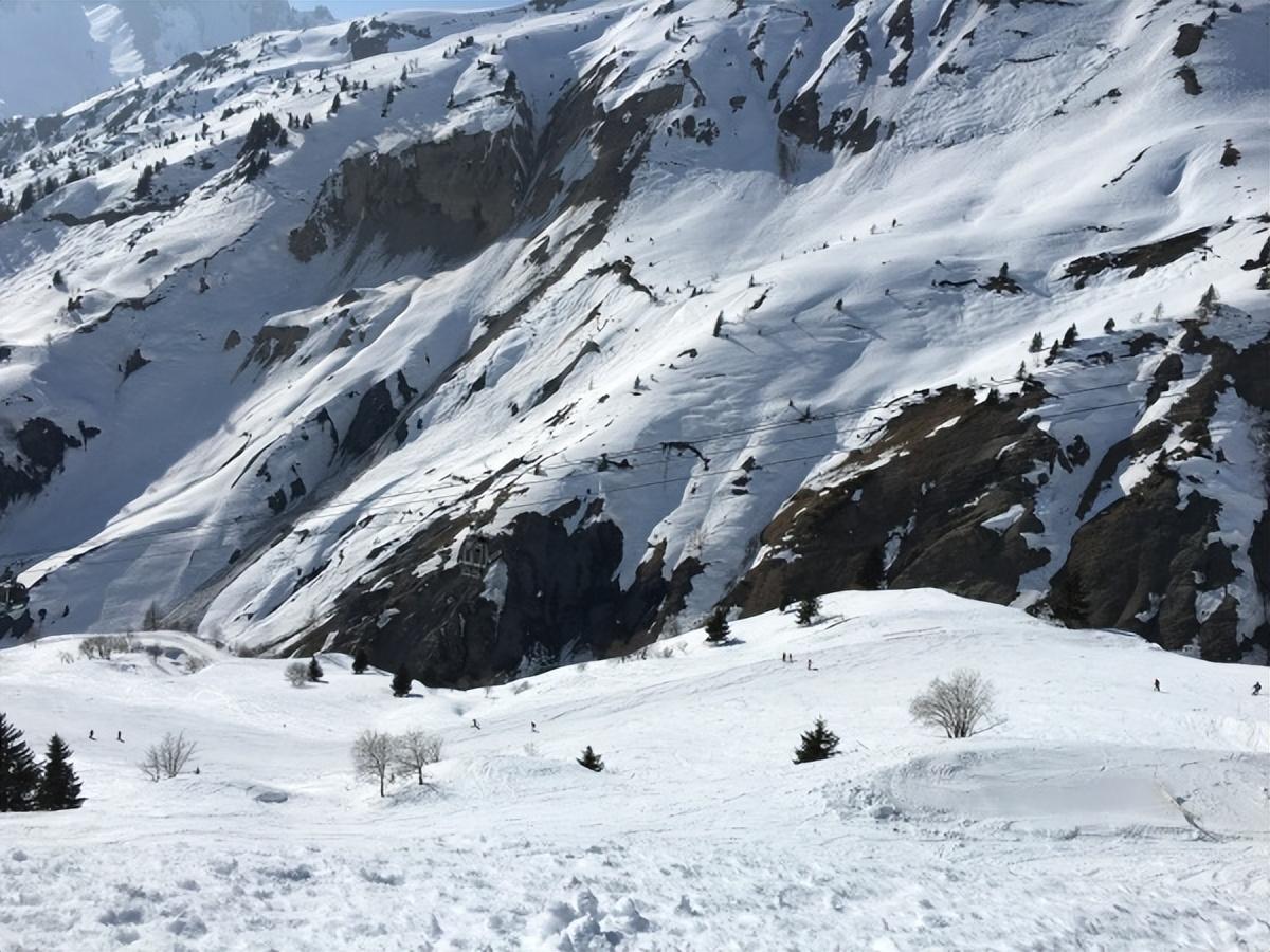 法国阿尔卑斯山TOP3滑雪场详细评测 一次看完三个雪场 点赞收藏