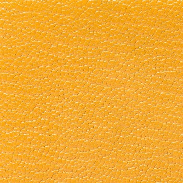 Hermes moutard chevre mysore 样品