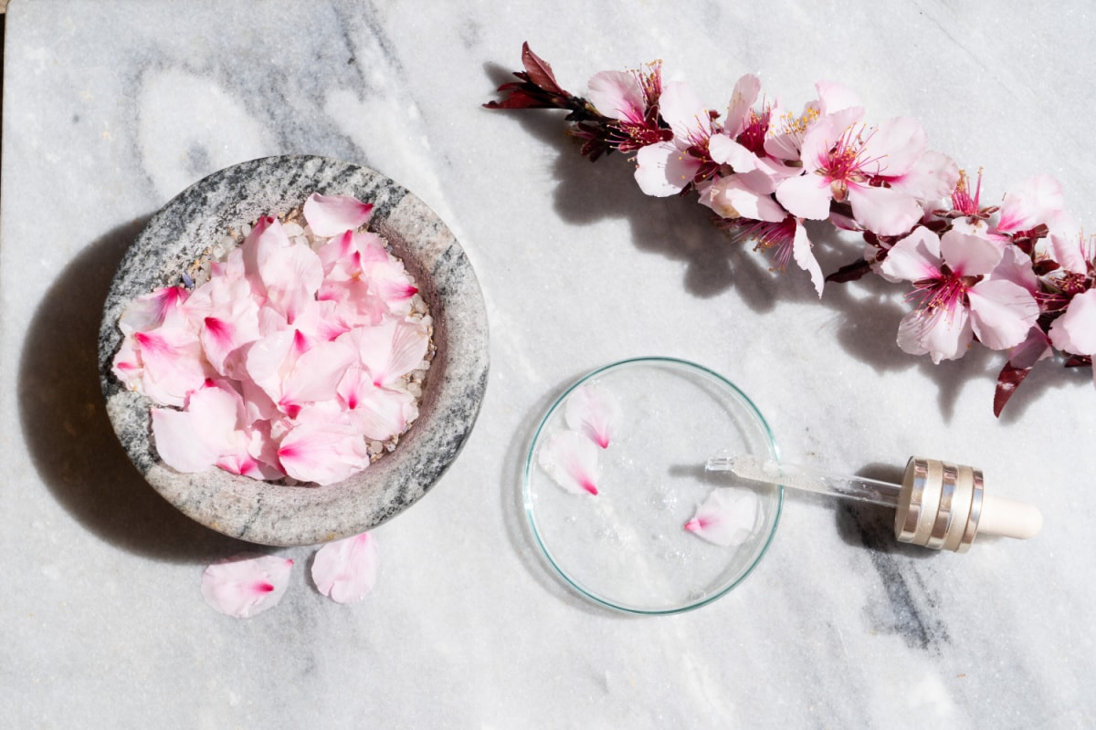 skincare serum pipette on petri dish with bowl and branch of blossoms