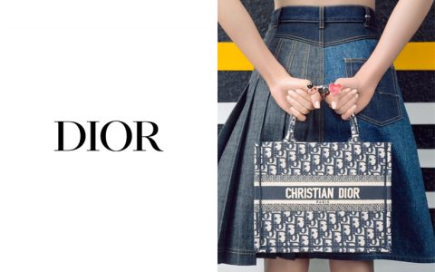 Dior Book Tote 全新小尺码，最完美尺寸