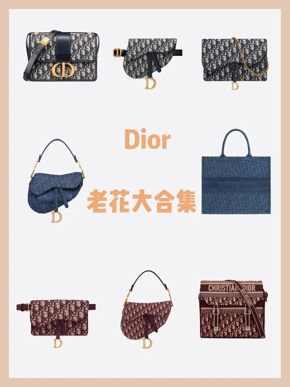 广州二手奢侈品迪奥包黛乐二奢一手货源哪里找？9张图看完Dior老花系列包包